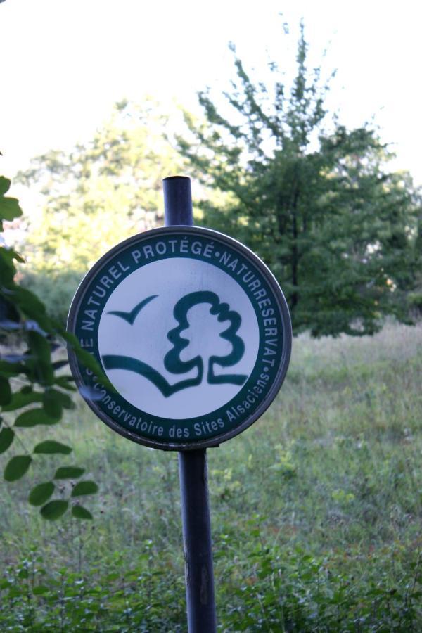 Bed and Breakfast Cocon D'Argile Bischoffsheim Exterior foto